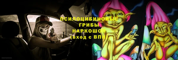 шишки Бронницы